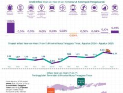 Waingapu, Alami Inflasi Terendah Pada Agustus 2025