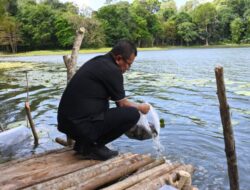 Bupati Kupang Lepas 20.000 Bibit Ikan di Dua Danau Ini