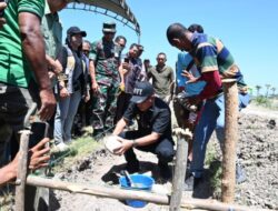 Dorong Swasembada Pangan, Pemerintah Bangun Saluran Irigasi di Persawahan Kuledoki