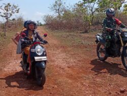 Menyusuri Jejak Gigitan: Petugas Turun ke Bello, Wawancarai Korban Serangan Anjing Liar