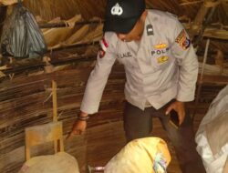 Diduga Bunuh Bayi Setelah Melahirkan, IRT di Desa Netemnanu Selatan Diamankan Polisi
