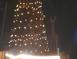 Pohon Natal Dinas P dan K Kota Kupang Sabet Juara Favorit Tingkat Kota