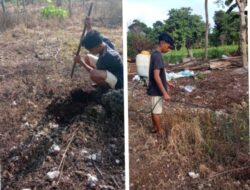 Keluarga Seminaris di Bello Tanamkan Kerja Keras Sejak Dini