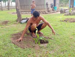 Camat Kupang Timur dan LSM Tanam Anakan di Lokasi Longsor