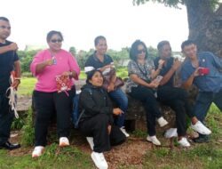 Puluhan Bunker Jepang di Bukit Cinta Kupang Diusulkan Jadi Situs Budaya