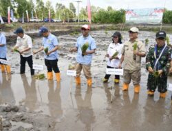 Ada Gerakan Tanam Padi se- NTT, di Kabupaten Kupang Hadir Gubernur, Wakil Gubernur dan Ketua DPRD
