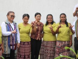 Aurum Titu Eki Sebut, Posyandu, Garda Terdepan Pelayanan Kesehatan Dasar