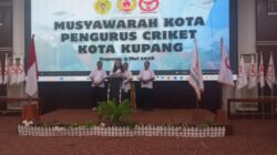 Serena Cosgrova Francis Nyatakan,  Bawa Cricket Kota Kupang Semakin Berkembang