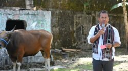Serahkan Hewan Kurban, Yos Lede Sampaikan Hal Ini