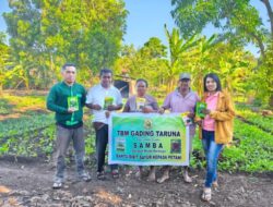 TBM Gading Taruna dan SAMBA Salurkan Bibit Sayur bagi Petani di Bello
