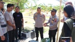 Gebrakan Penghijauan & Ekonomi: Pembibitan Kelor Polres Kupang Disambut Positif Industri
