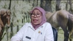 Tegas ! Eksploitasi Tanpa Izin: DLHK Keluarkan Surat Penghentian Aktivitas PT EPM