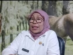 Tak Main-Main, Lubang Galian Hingga 20 Meter Tanpa Izin, DLHK Paksa PT EPM, Reklamasi