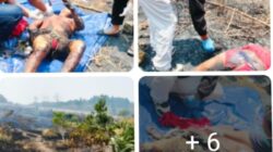 Musibah Kebakaran Lahan di Oemasi, Petani Berusia 50 Tahun Meninggal Dunia